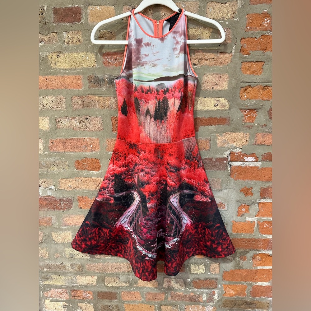 Ted Baker Dress